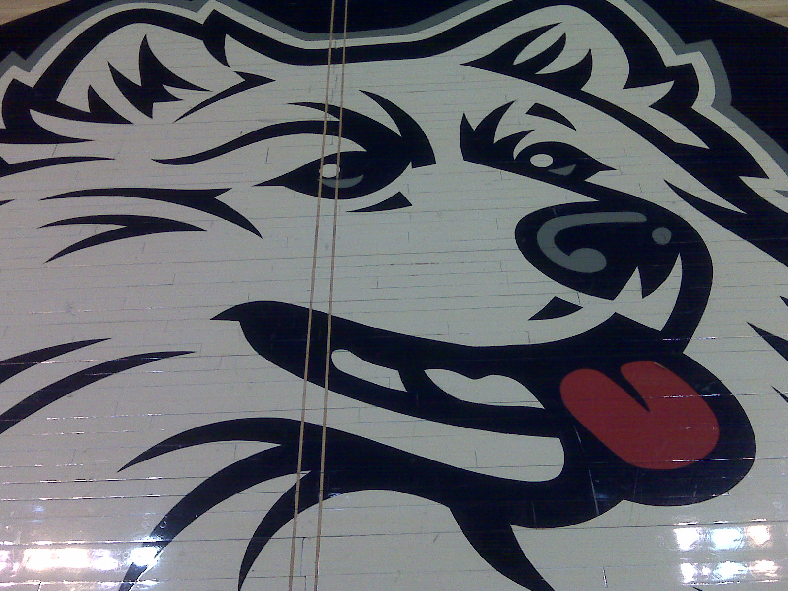 UConn Wallpapers Group (56+)