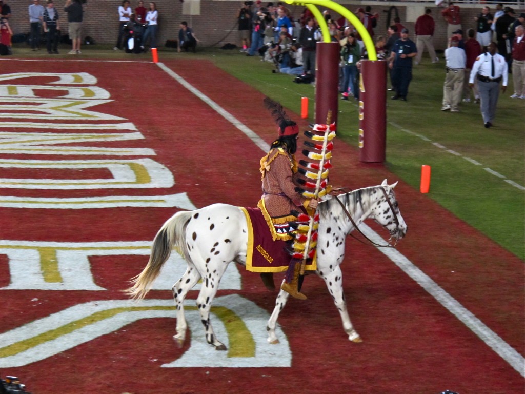 Renegade The FSU Seminoles Mascot Equestrian Stylist