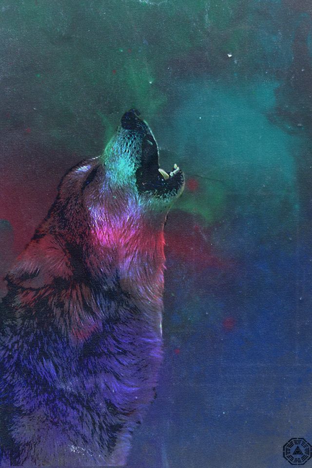 Galaxy Wolf Background For Kindle Fire