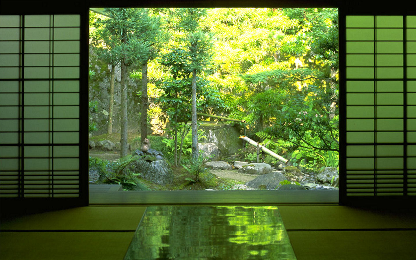 Japan Nature Indoors Zen #bsgY