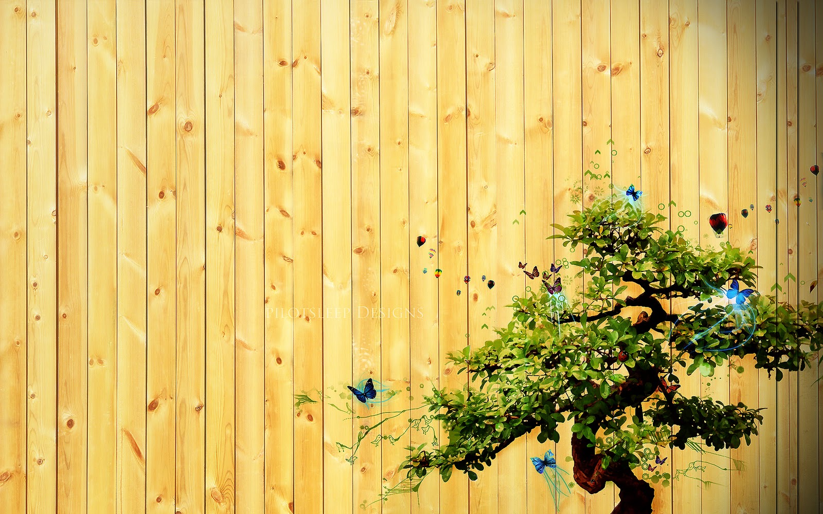 Bonsai - Zen Tree Backgrounds \ Wallpapers HD | Wallpaper Hd Black