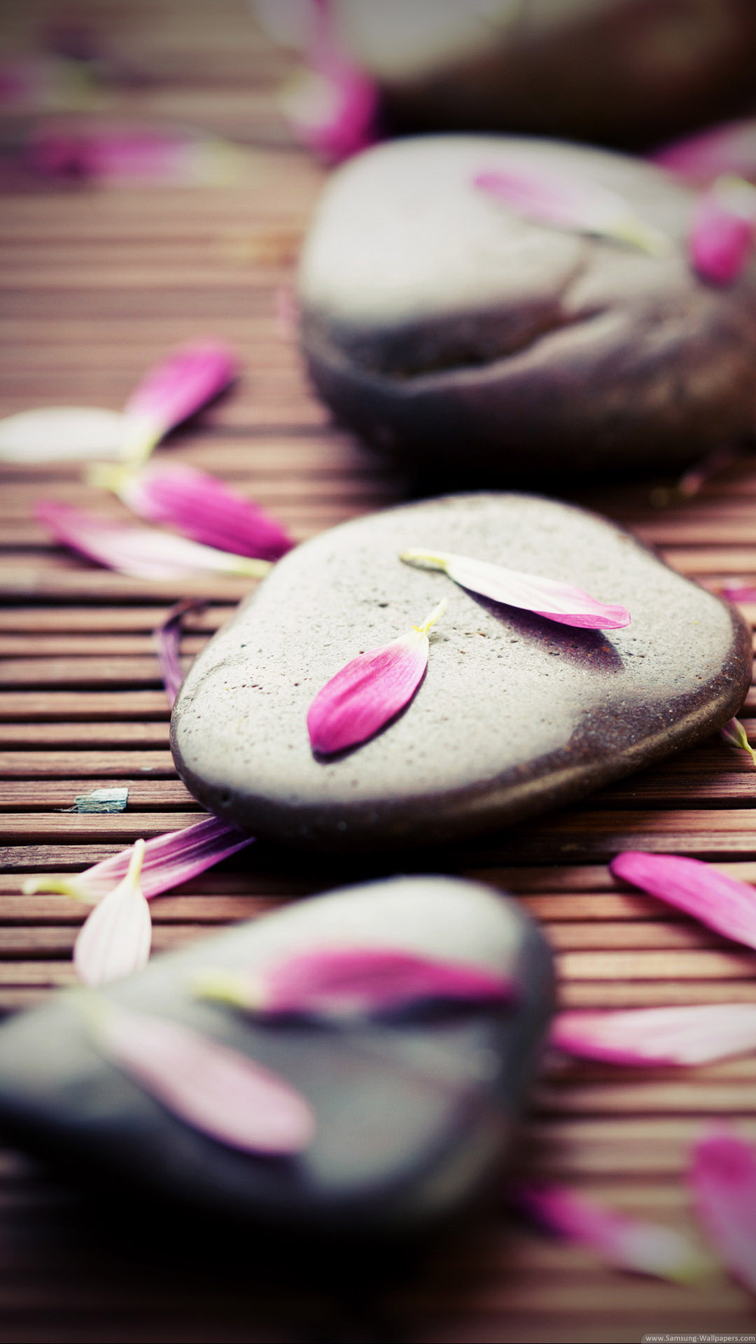 Zen Stones Pink Petals Iphone 6 Plus Hd Wallpaper ...
