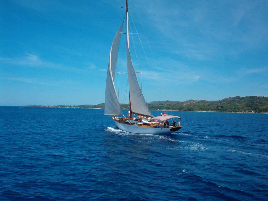 Sailboat Pictures