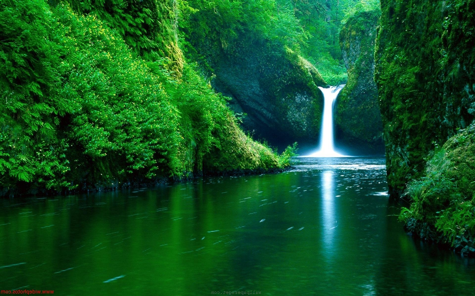 Nature Wallpapers Group 80 