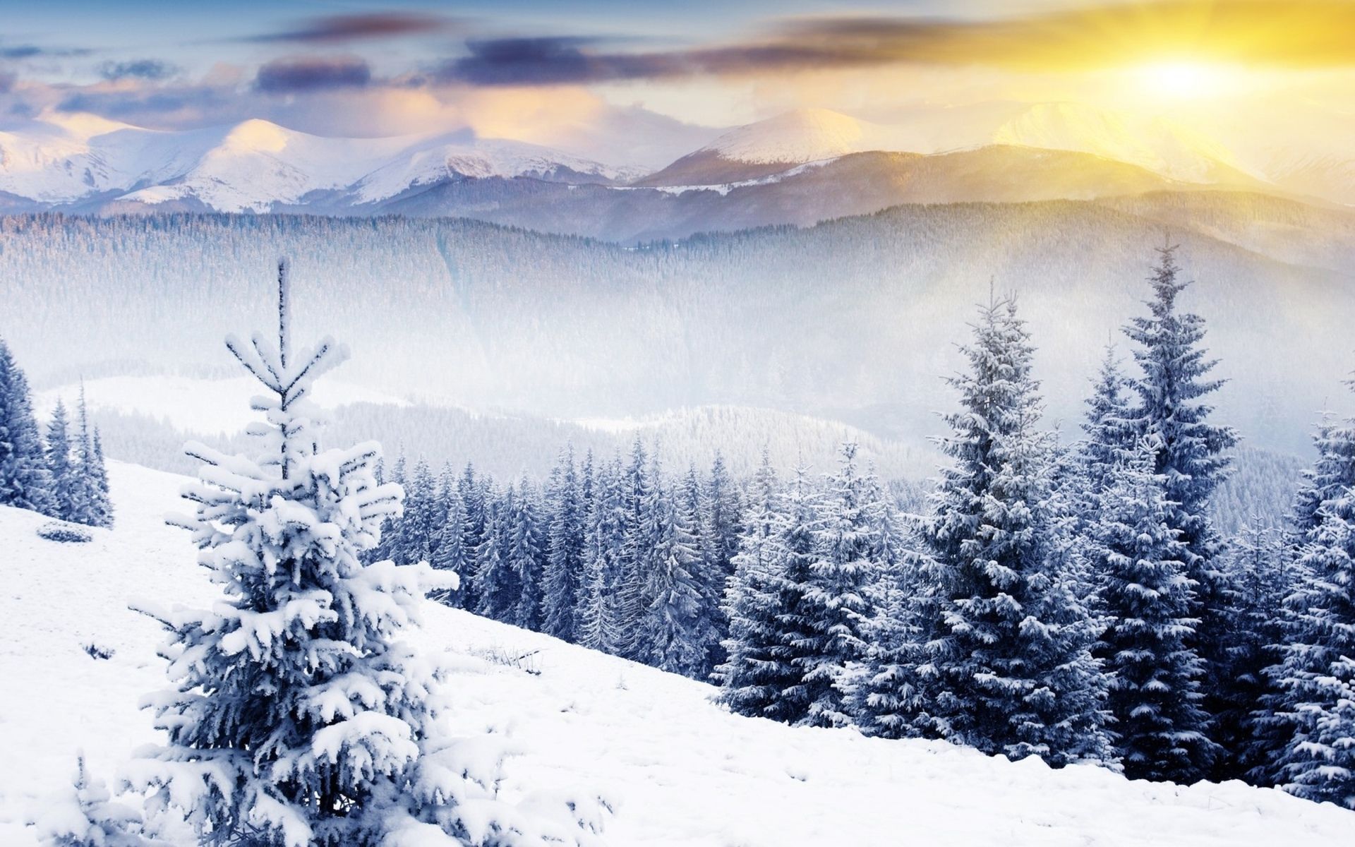 Scenic Winter Full HD Pics Wallpapers 5781 - Amazing Wallpaperz