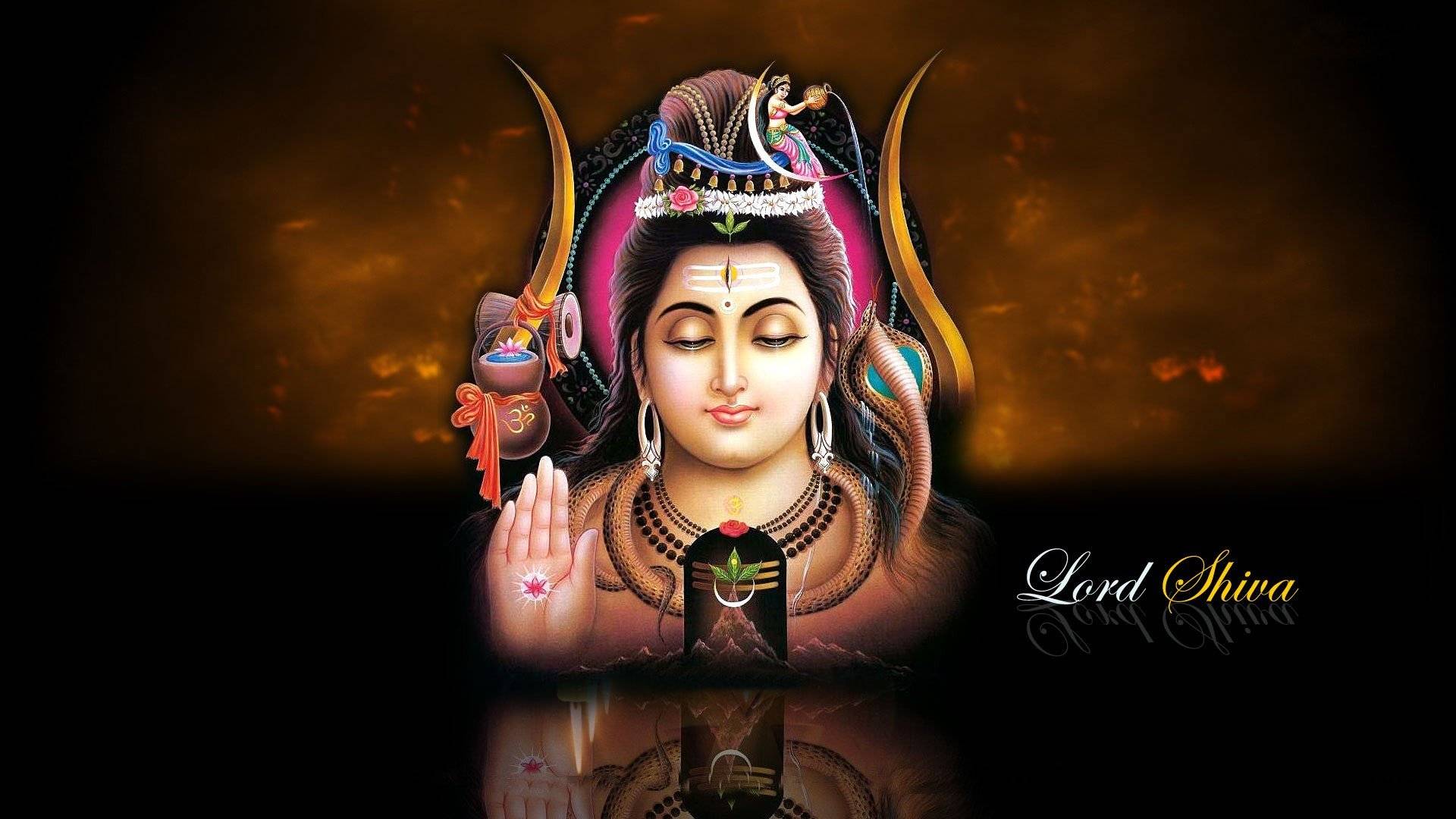 Free Download Lord Shiva Wallpapers 