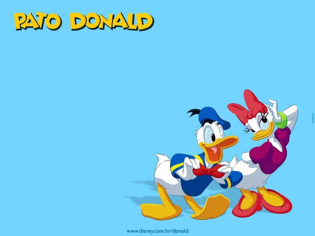 Donald Duck And Daisy Flirting Nice Wallpaper Cartoon