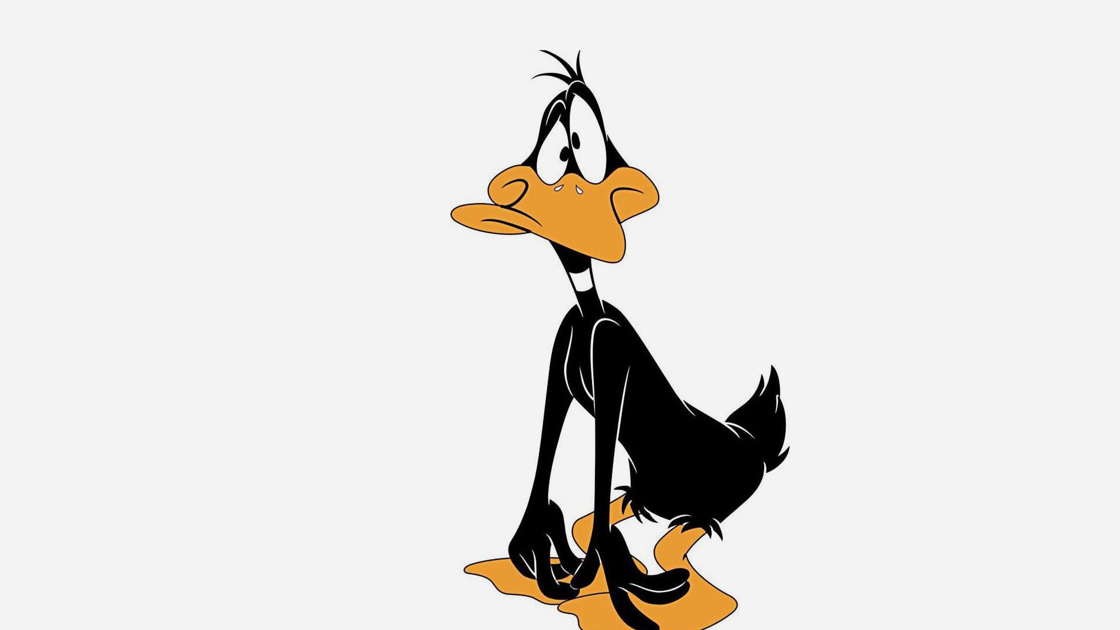 Download Wallpaper 3840x2160 Looney tunes, Daffy duck, Cartoon 4K ...