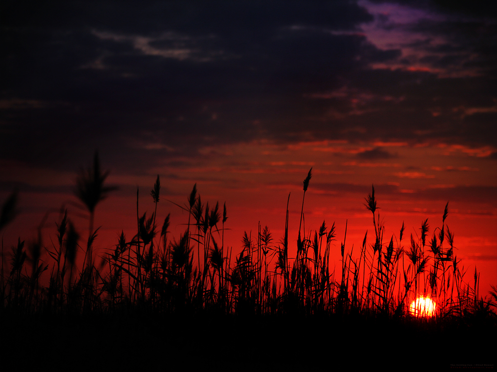 The Setting Sun by gilad on DeviantArt