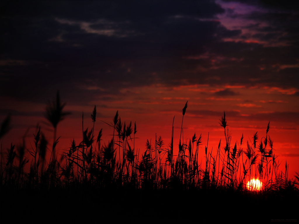 The Setting Sun By Gilad On DeviantArt