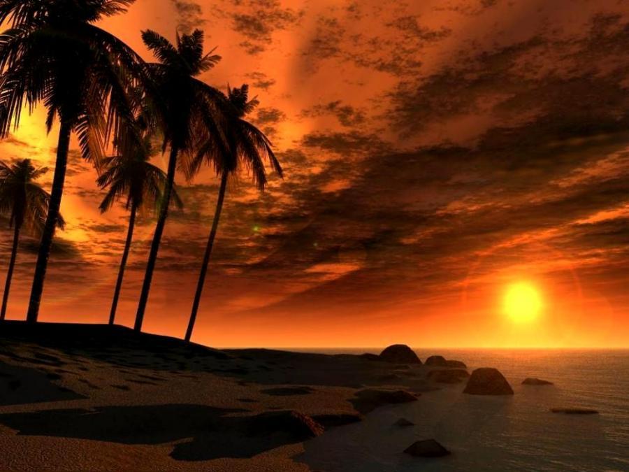 Gorgeous view of sun setting - - High Quality and other