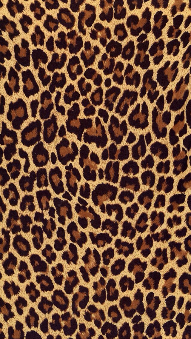 Gallery for - iphone wallpaper cheetah