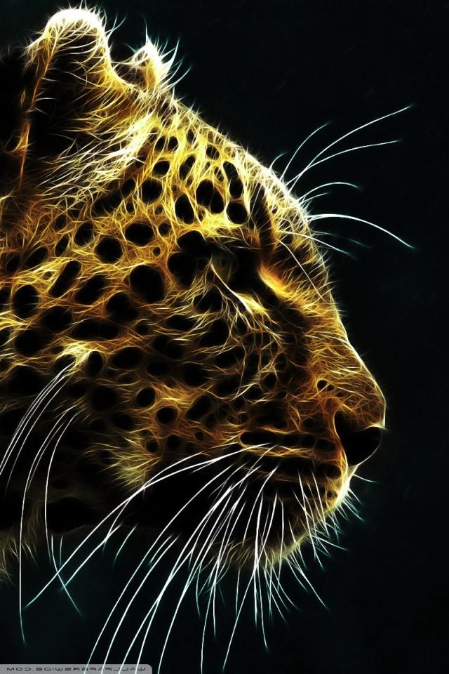 Cheetah in fire hd desktop wallpaper high definition fullscreen