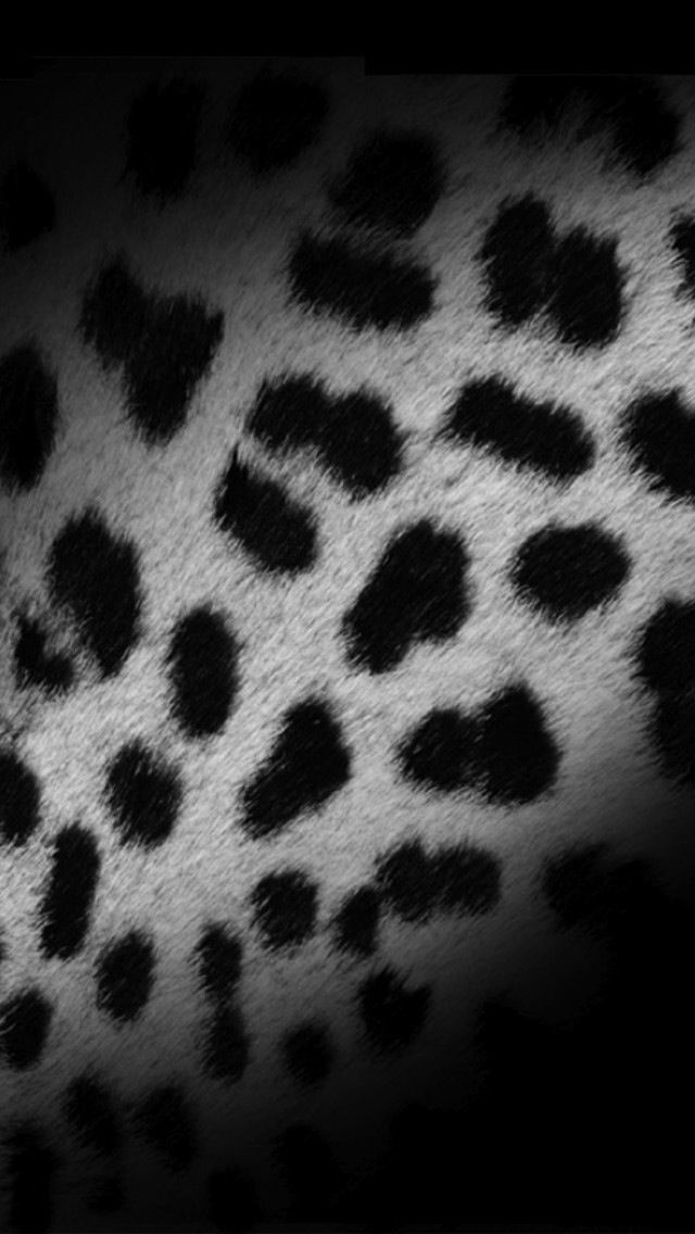 Gallery for - black and silver leopard wallpaper