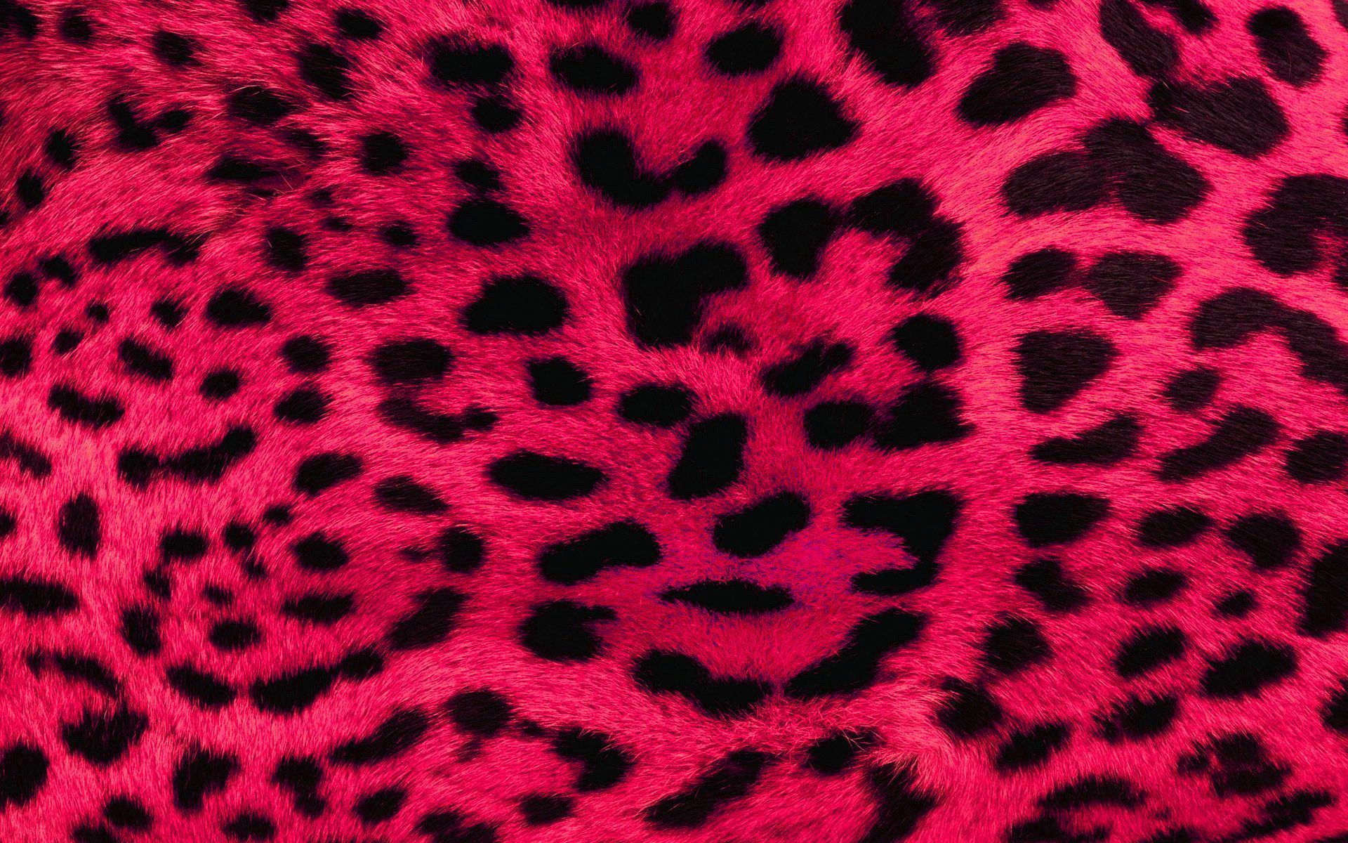 Gallery for - cheetah print wallpapers for desktop