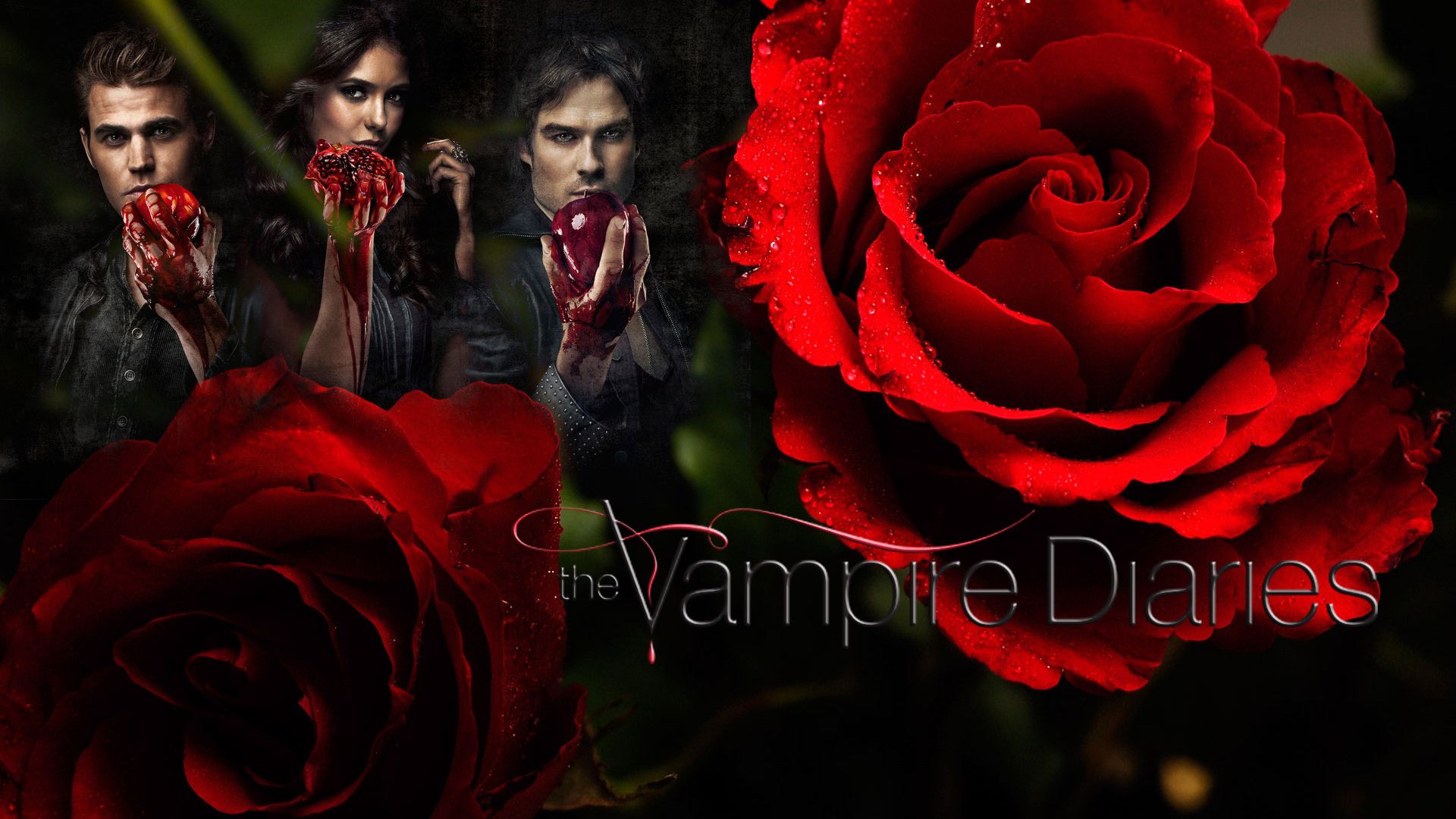 Vampire Diaries Wallpapers High Resolution and Quality Download