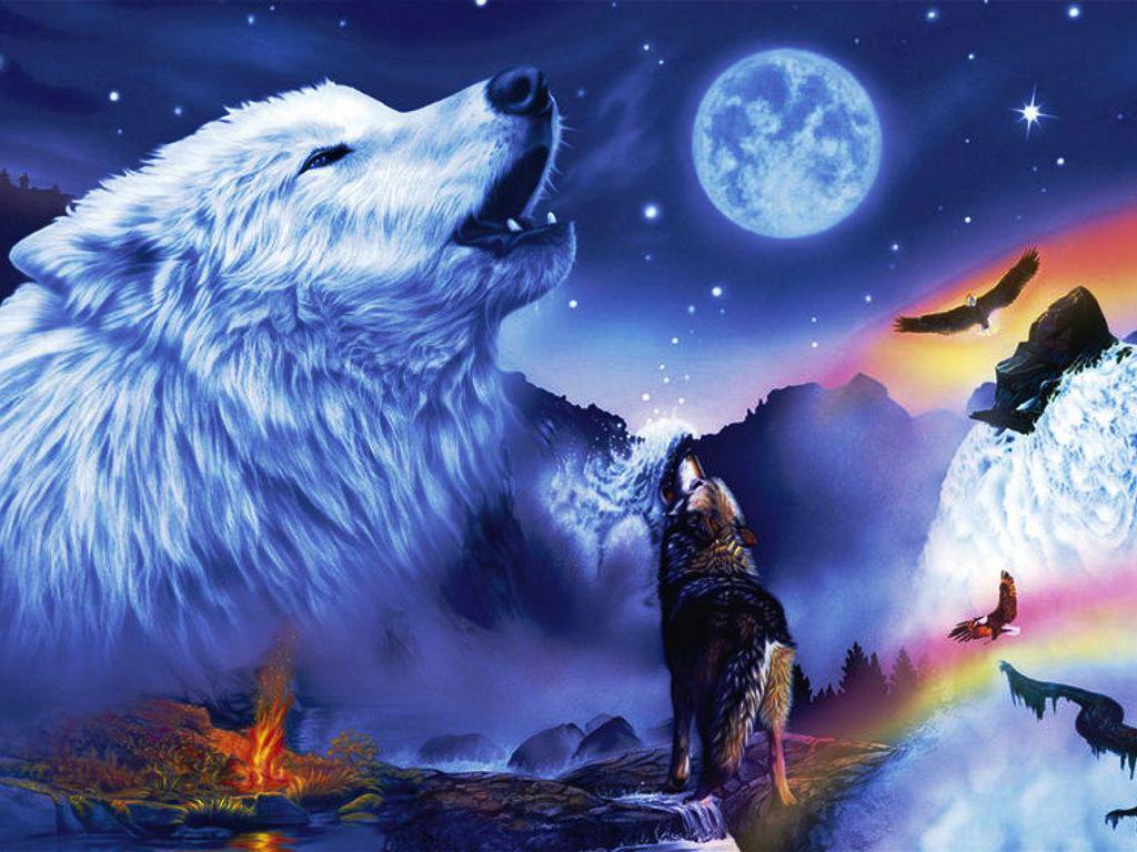 Download White Galaxy Wolf Silhouette Wallpaper  Wallpaperscom