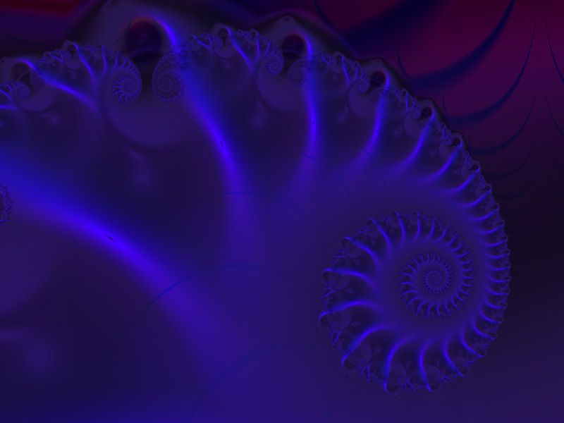 Fractal Art by Vicky: Nautilus Wallpaper
