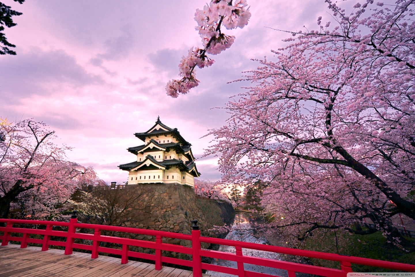 Cherry Blossoms, Japan HD desktop wallpaper High Definition