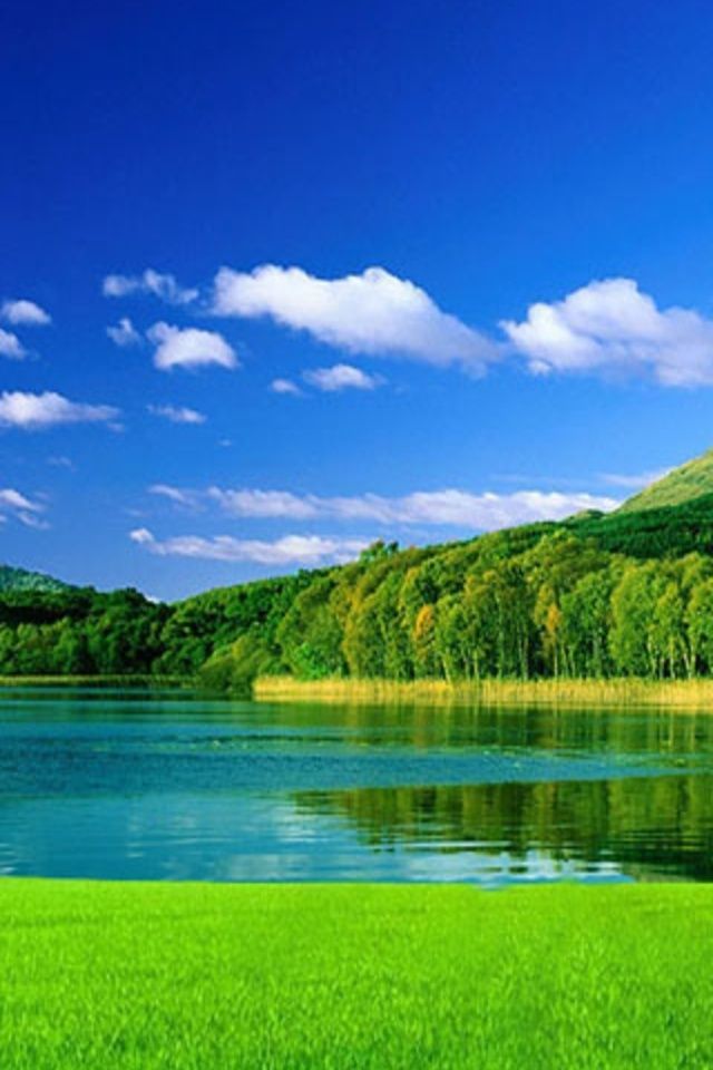 iWallpapers - Beautiful green nature - lake and forest | iPhone ...