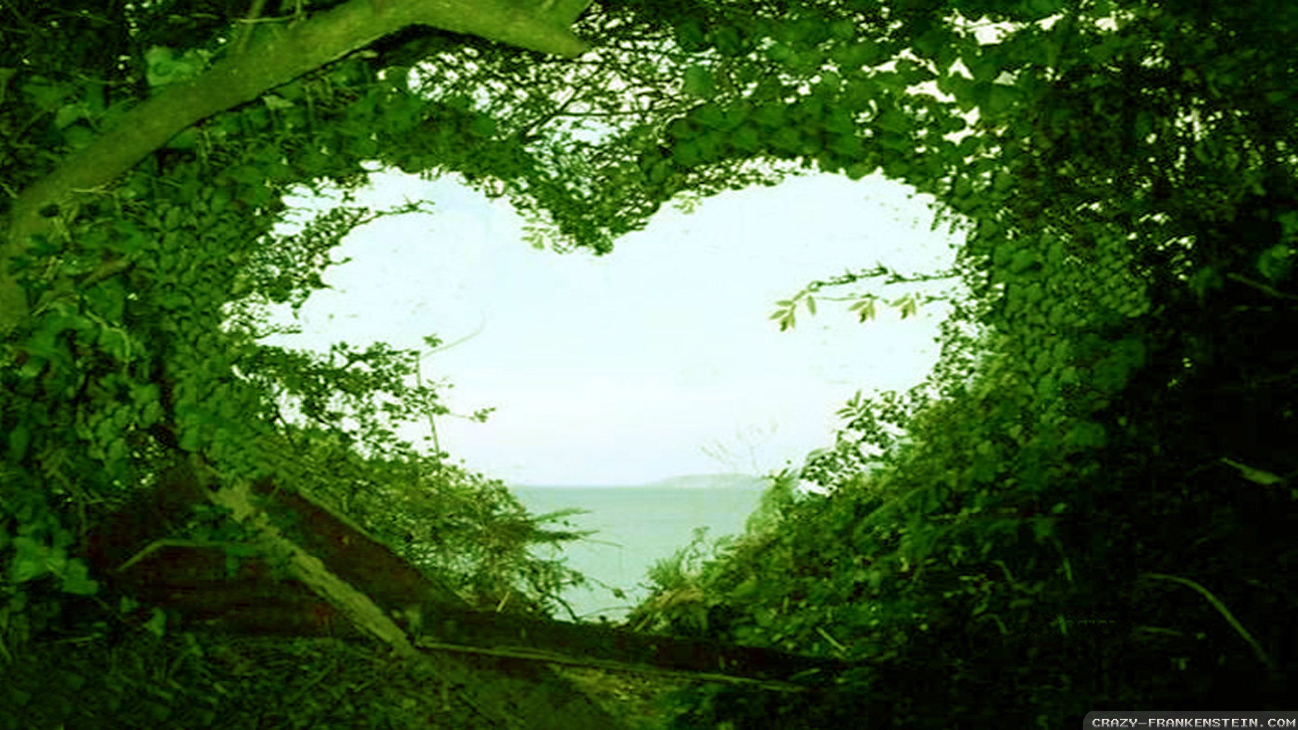 Beautiful love nature wallpaper hd desktop wallpapers love nature