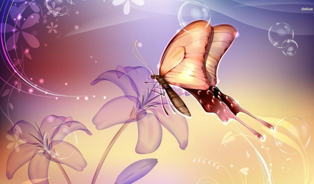 Lovely wallpaper flower butterfly backgrounds images colorful