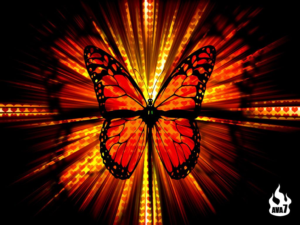 Website Wallpaper: Butterfly Wallpaper