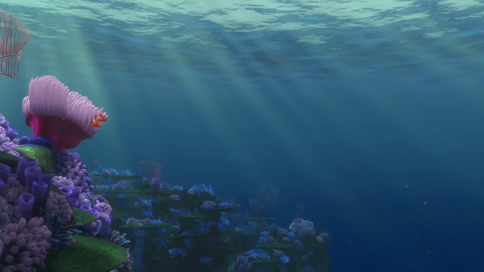 HD Picture- Finding Nemo (#75245) -Theiapolis