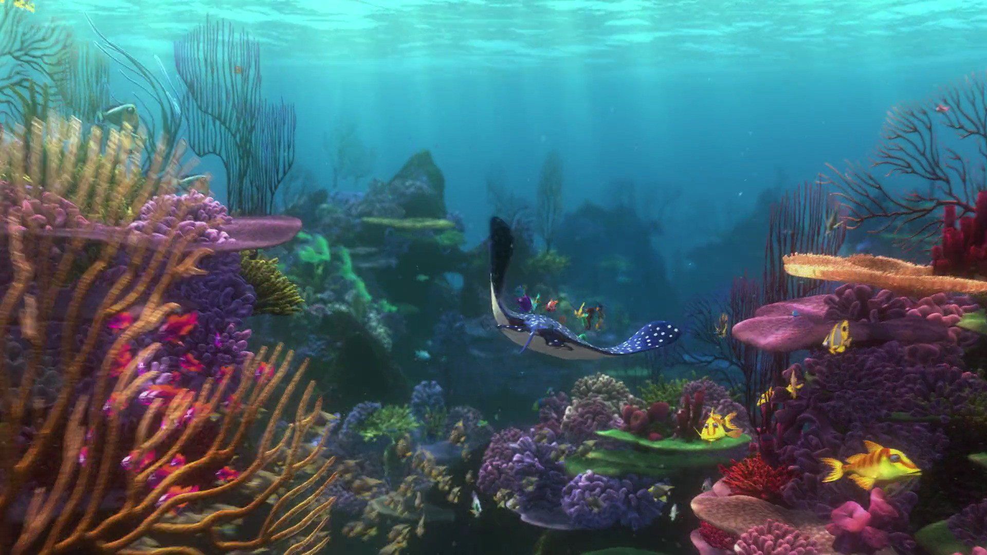 FINDING NEMO animation underwater sea ocean tropical fish ...