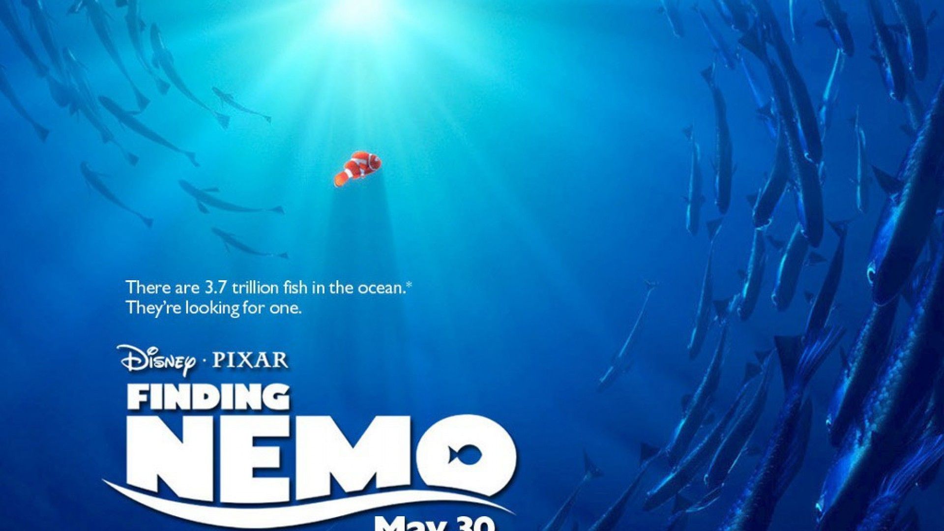 Finding Nemo Wallpaper Collections 4121 - HD Wallpapers Site