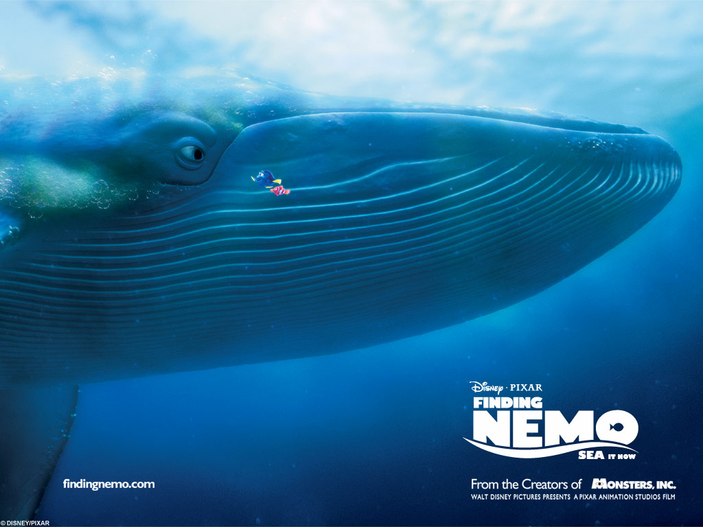 Finding Nemo - Pixar Wallpaper (67274) - Fanpop