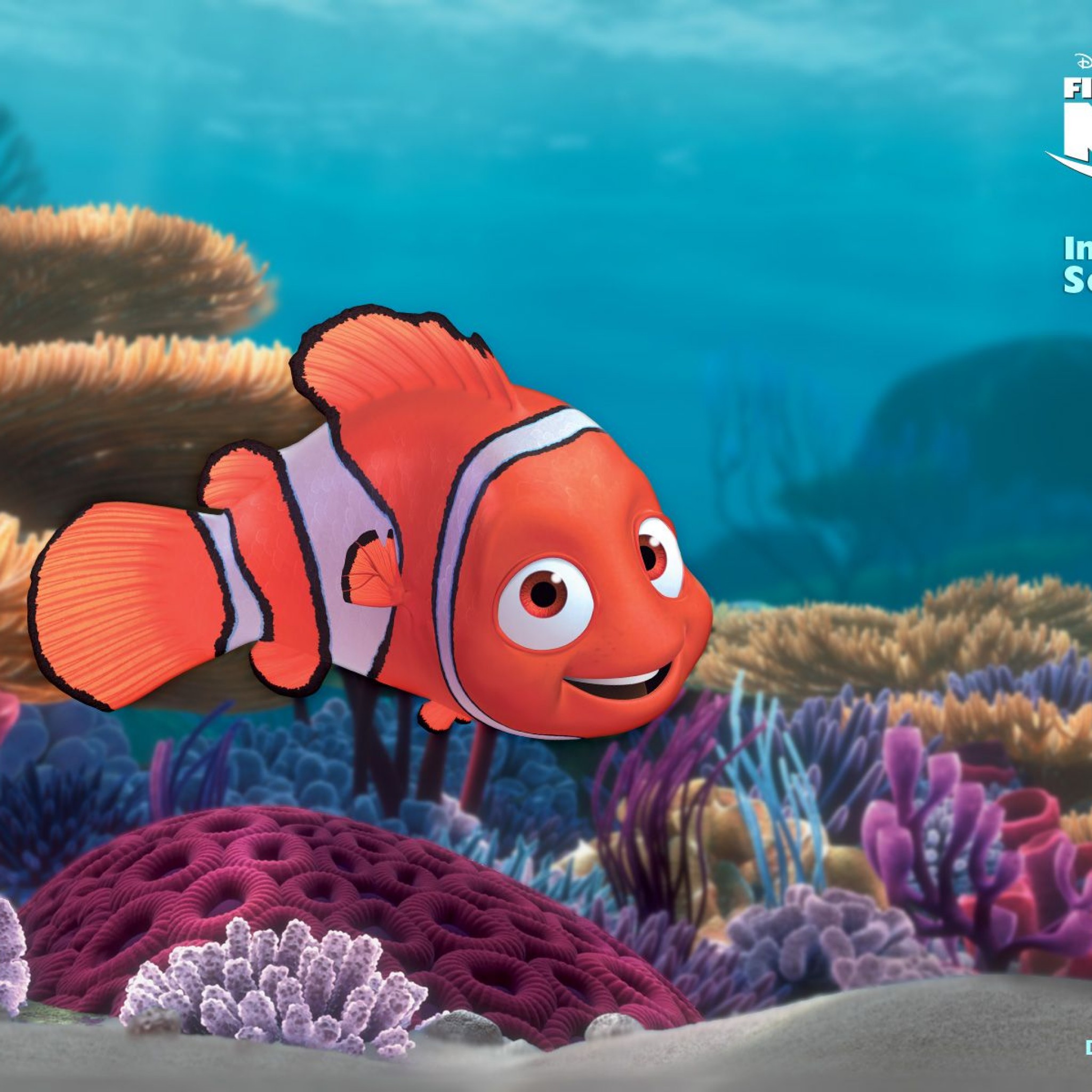 Finding Nemo Nemo Wallpaper Image for Lumia - Cartoons Wallpapers
