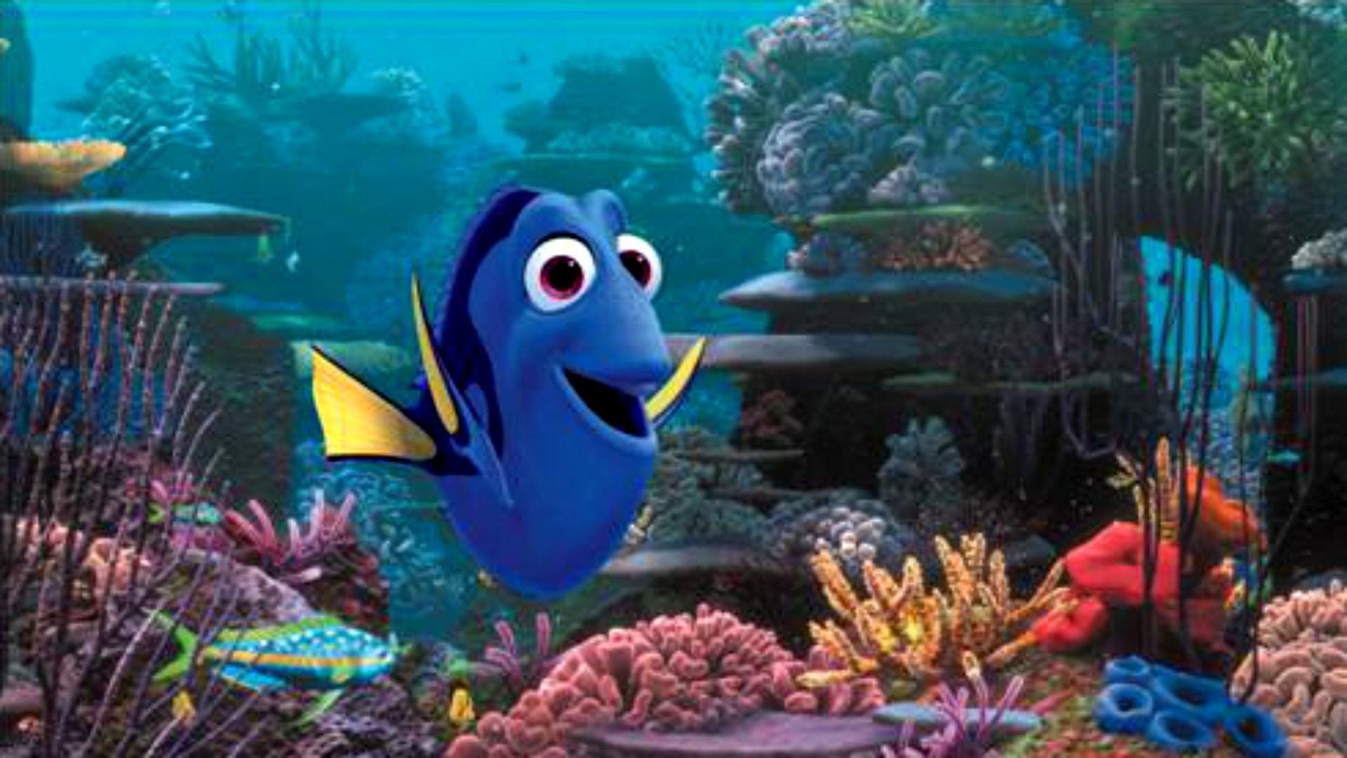 Finding Nemo 3D Dory Wallpaper for Desktop 4028 - HD Wallpapers Site