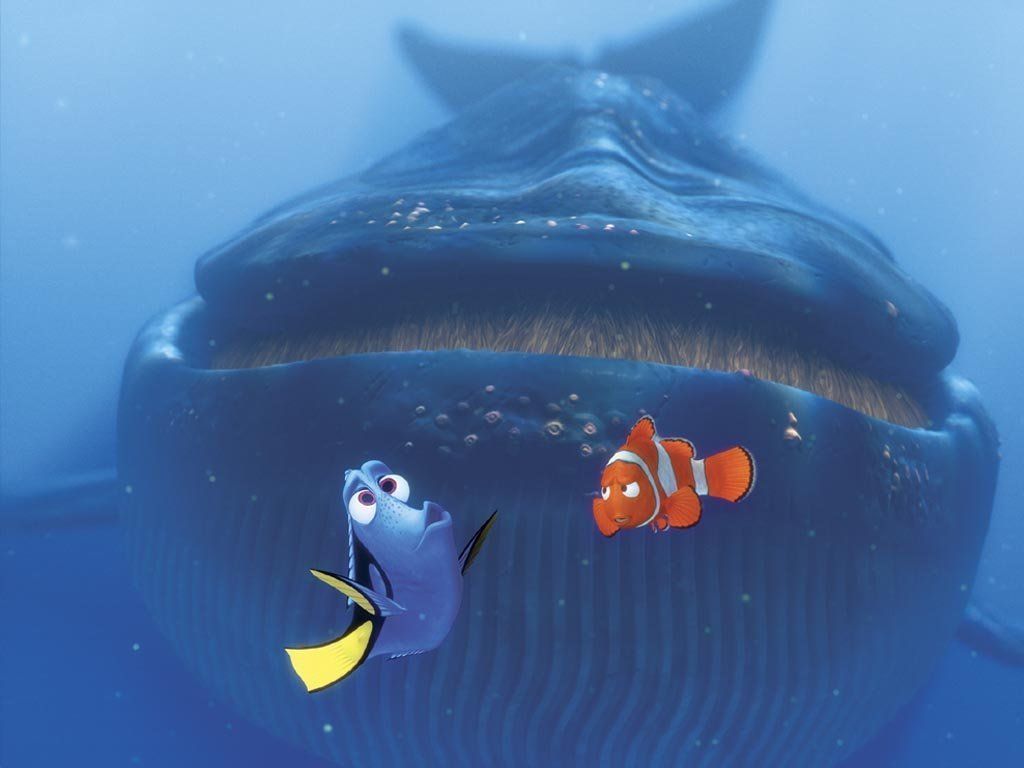 Finding Nemo Wallpaper - Finding Nemo Wallpaper (6248849) - Fanpop