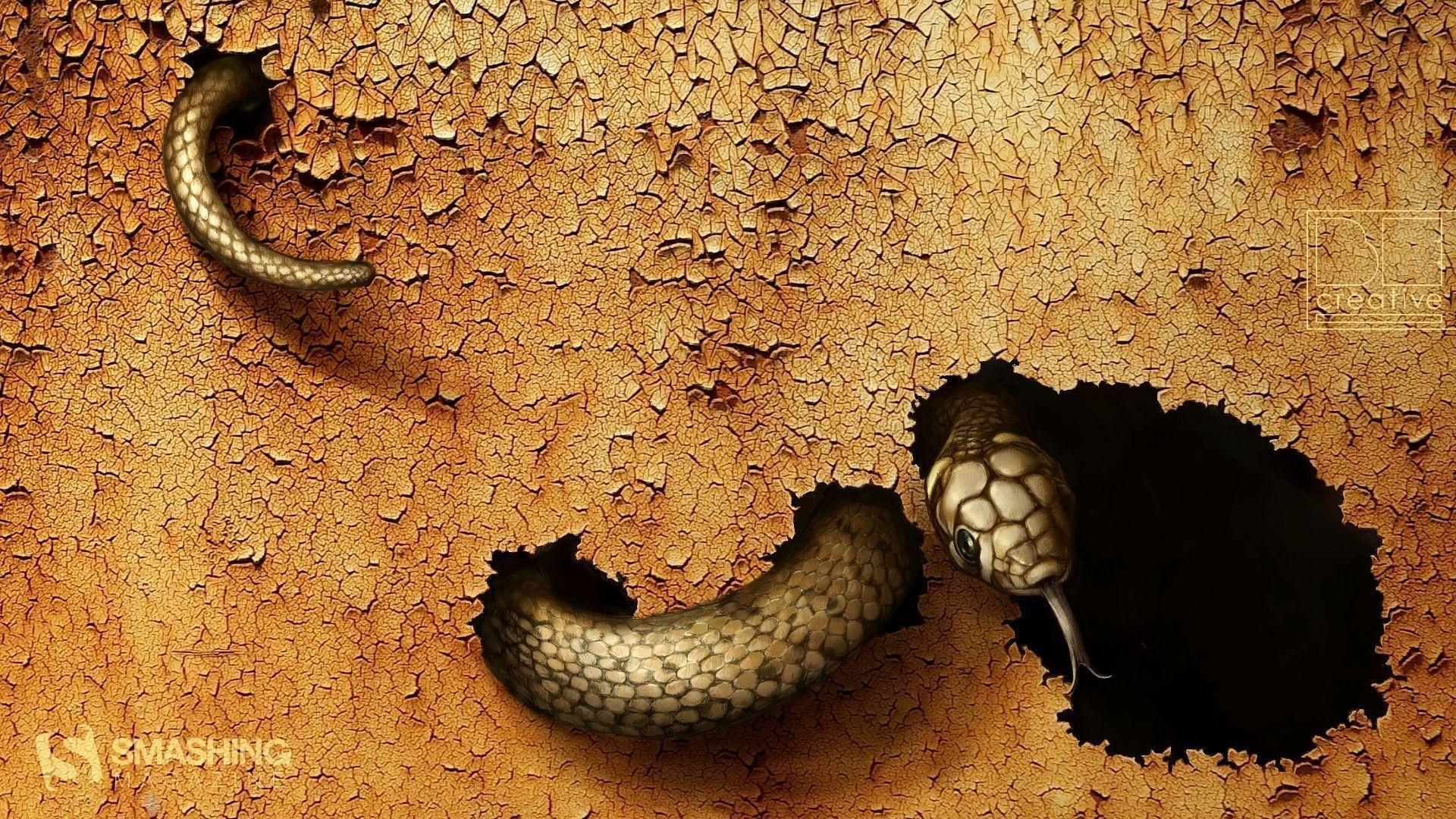 Snake Wallpaper Pictures 102 Background #26741 - HDWallCool