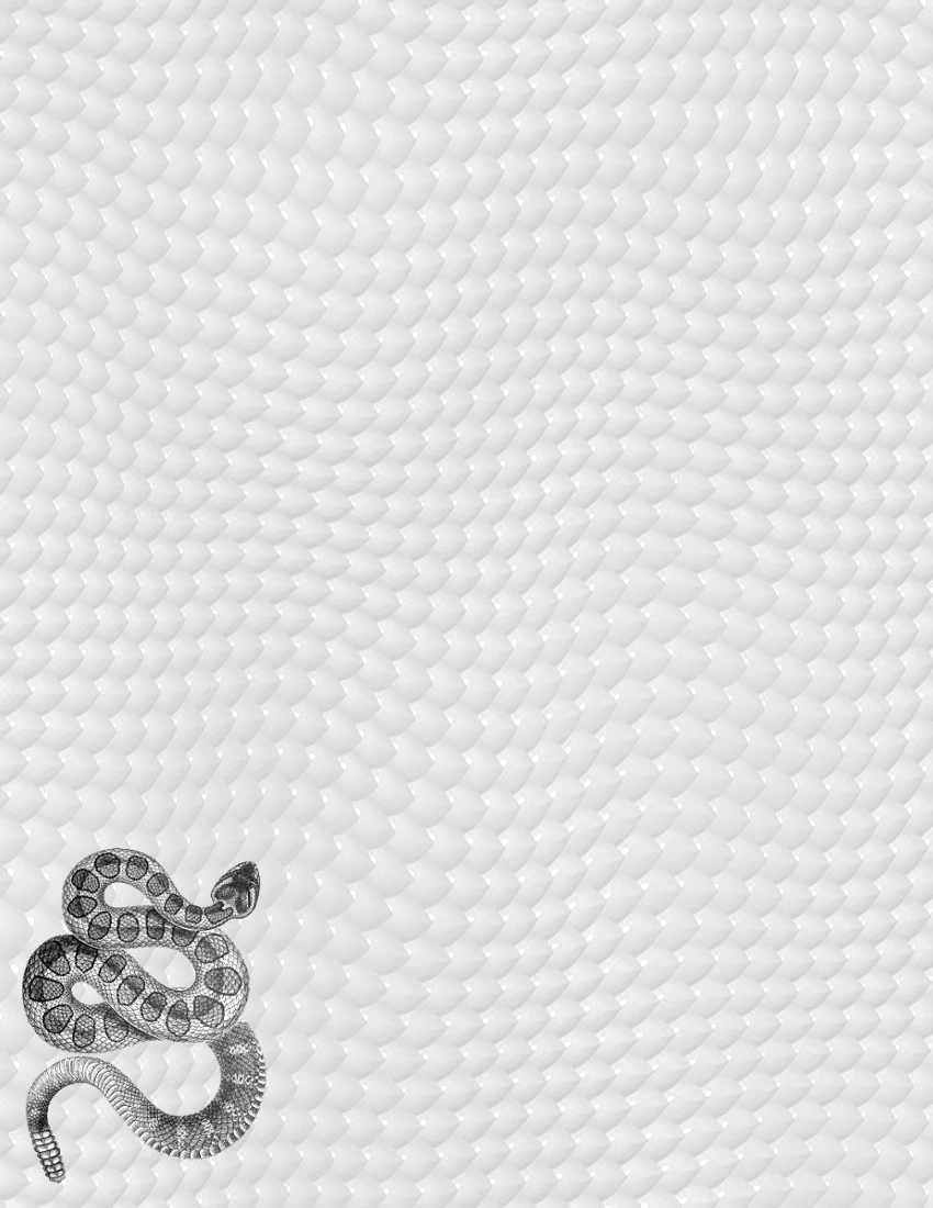 snake and skin background - /page_frames/animal ...