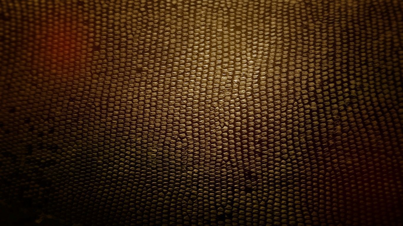 Wallpapers Snake Skin Laptop Black Yellow 1366x768