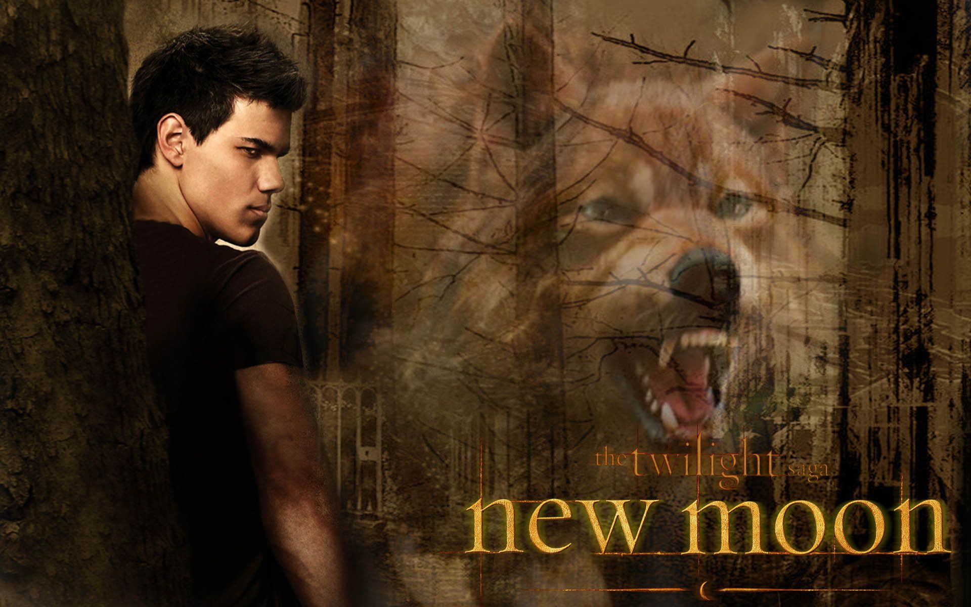 New Moon wallpaper - Twilight Movie Wallpaper (7148662) - Fanpop