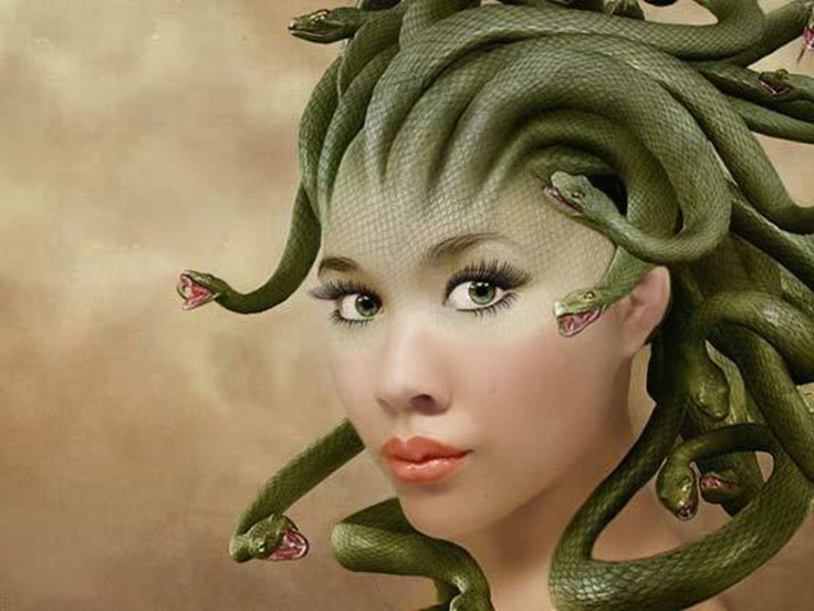 PrettyMedusa Pretty Medusa Wallpaper halloween Pinterest