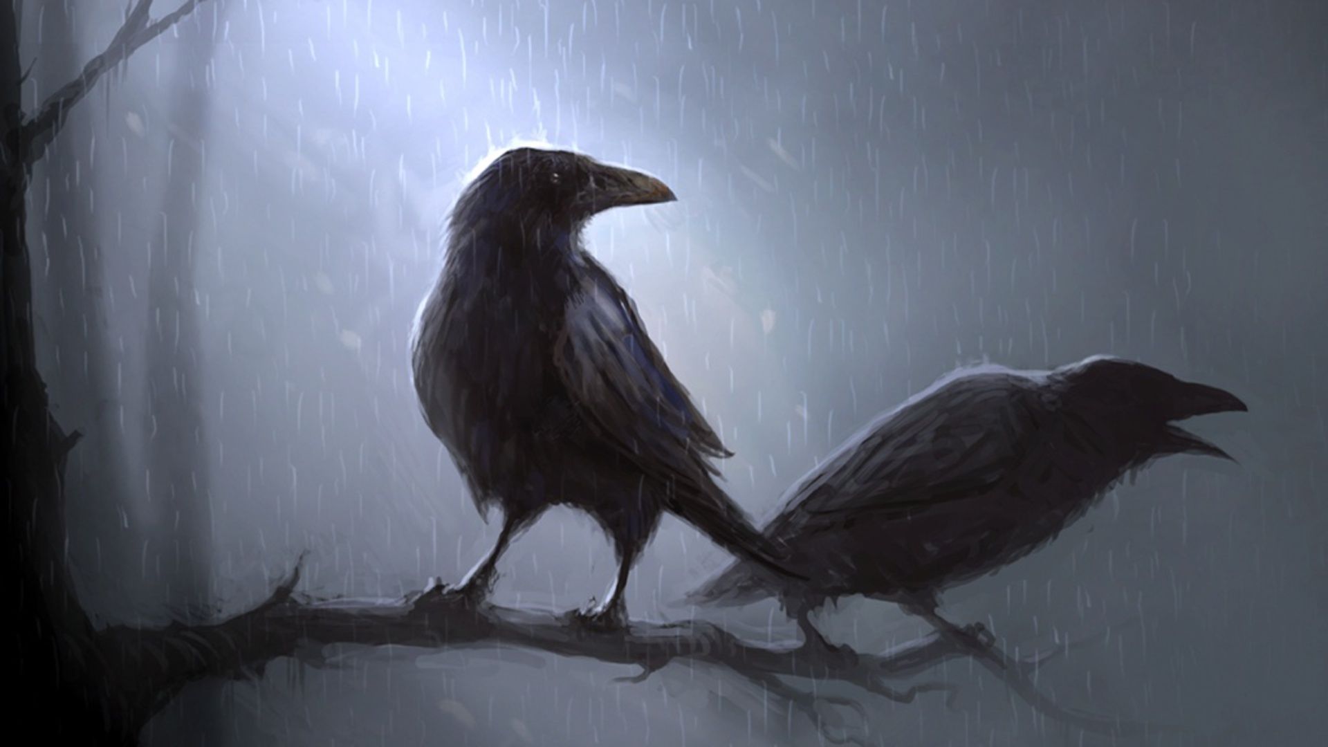 48 Raven HD Wallpapers | Backgrounds - Wallpaper Abyss