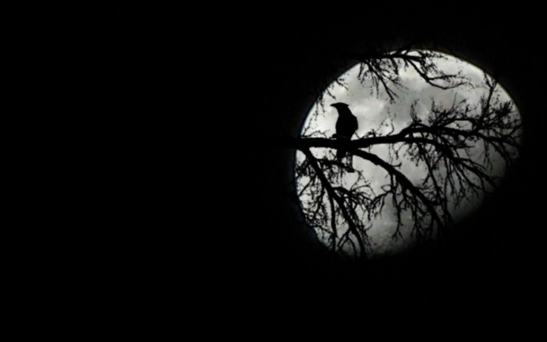 Raven Black And Moon Wallpaper Picture #10387 Wallpaper | High ...