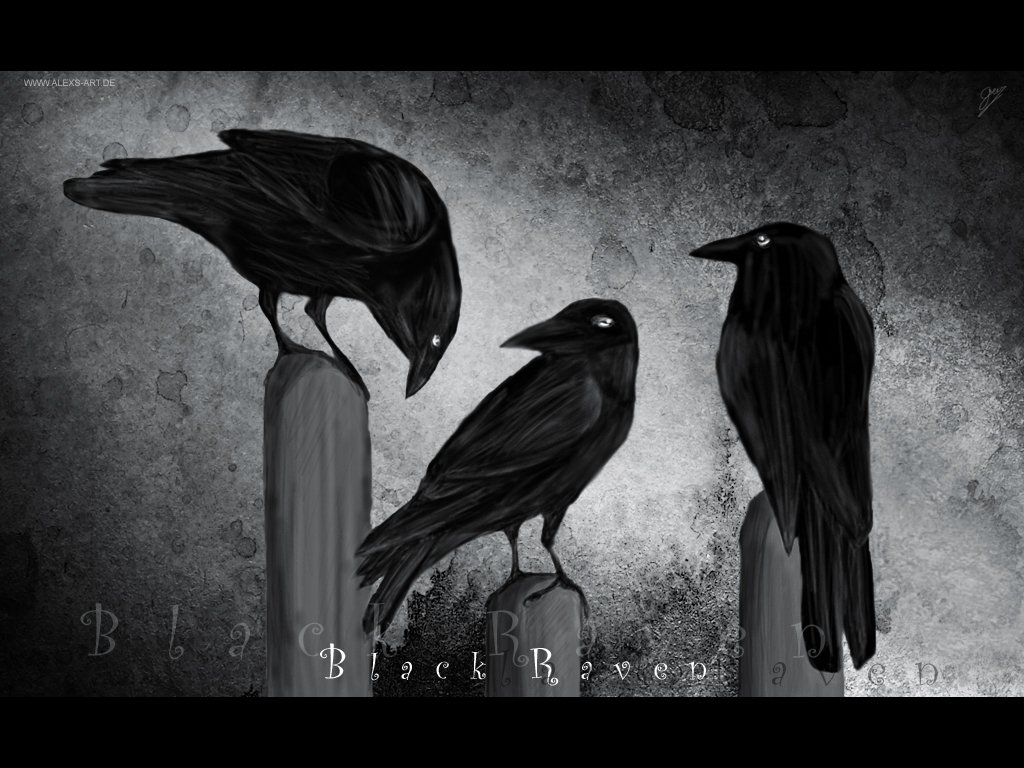 Raven Backgrounds