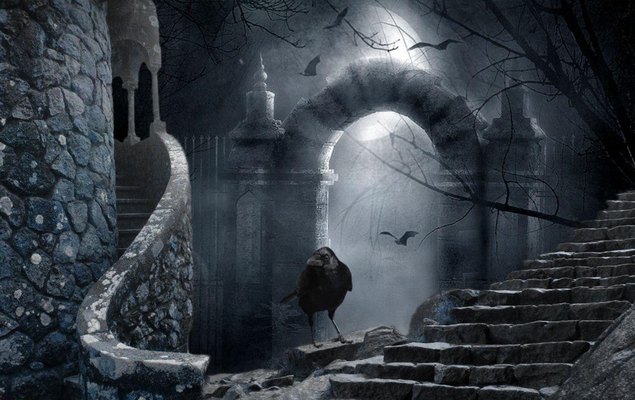 Raven - (#131620) - High Quality and Resolution Wallpapers on ...