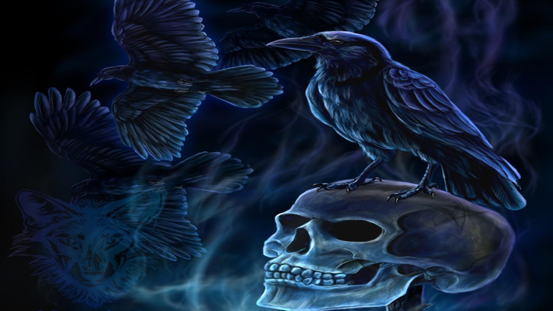 Blue raven - (#109960) - High Quality and Resolution Wallpapers on ...
