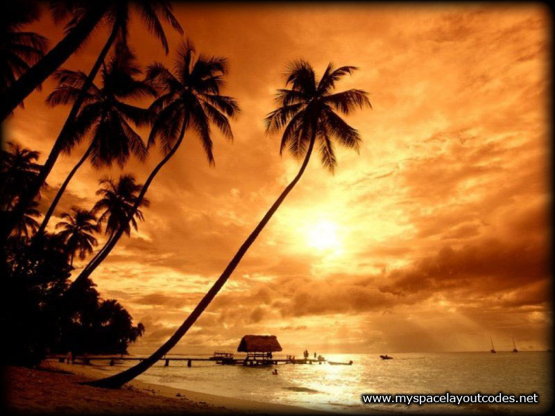 Wallpapers Susnset Pretty Sunset 800x600 #susnset