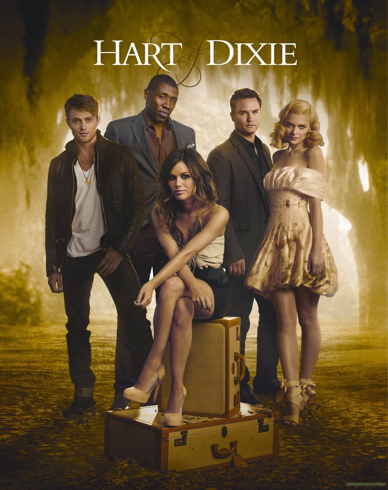 Hart Of Dixie Season 3 DVD - wallpaper.