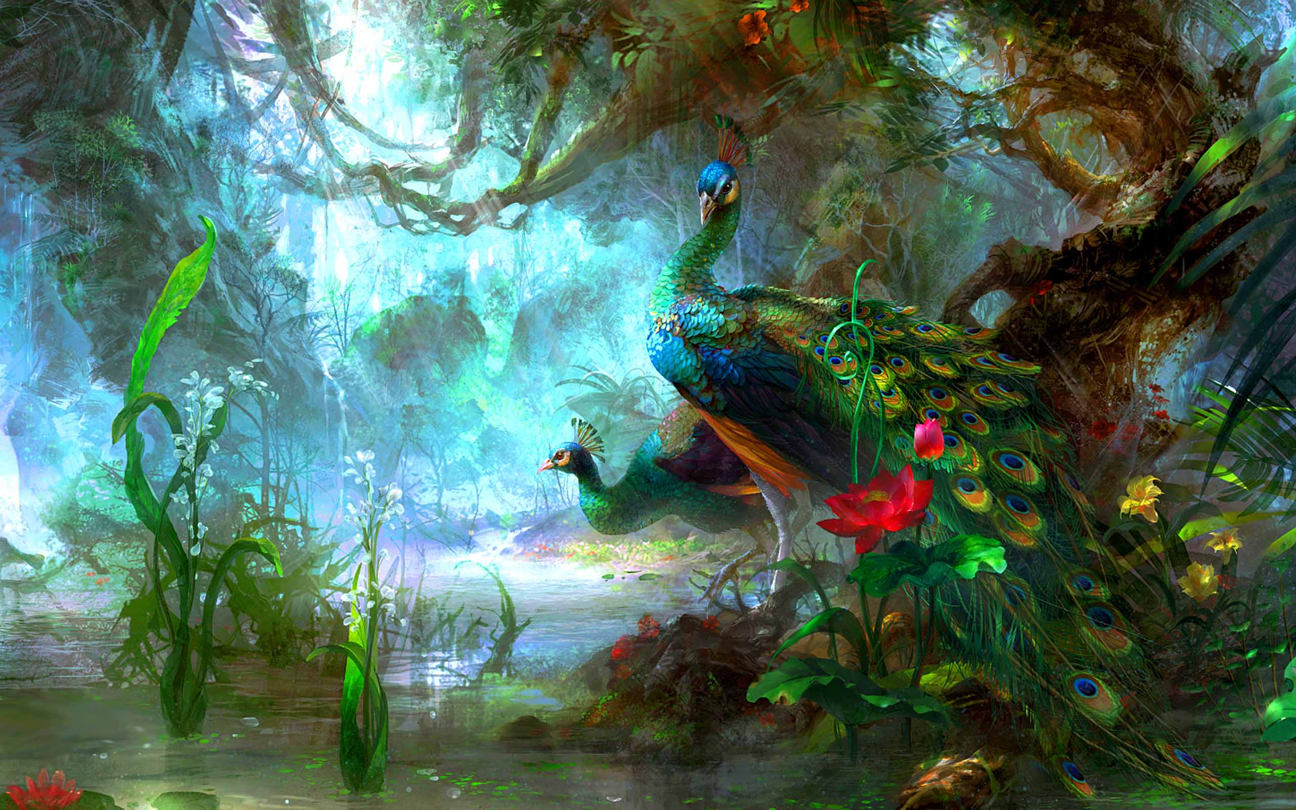 colourful-peacock