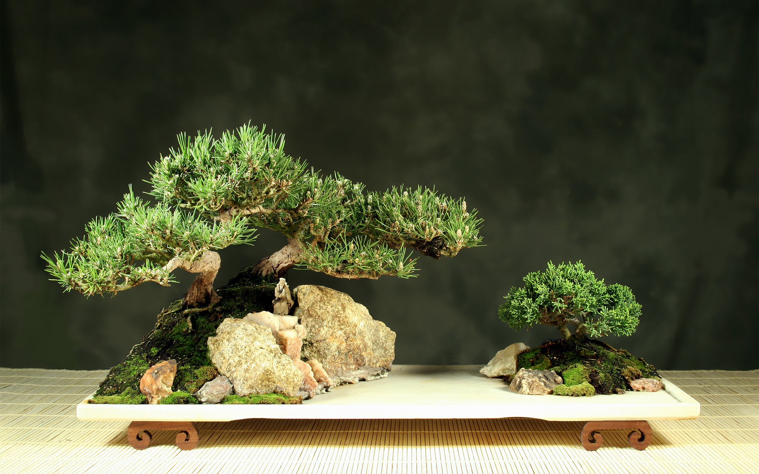 Ponds bonsai wallpaper | 1920x1080 | 191757 | WallpaperUP