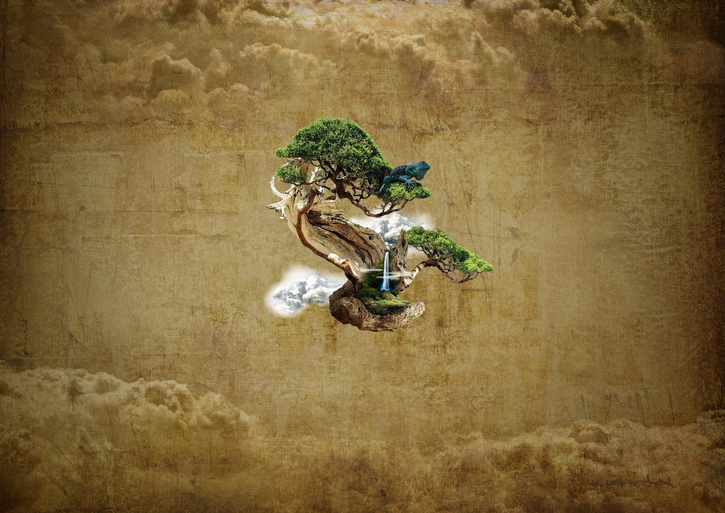 Bonsai Wallpaper | Flickr - Photo Sharing!