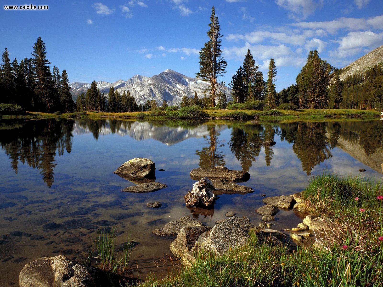 Wallpapers Parks Yosemite National Park Nature Image #228551 Download